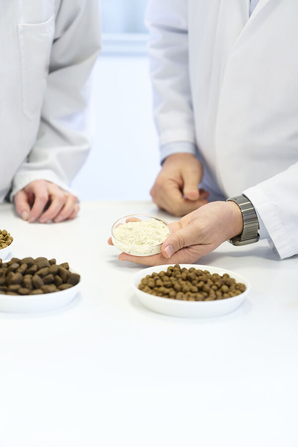 Lab technician holding a dish of white protein powder near white bowls of brown feed pellets