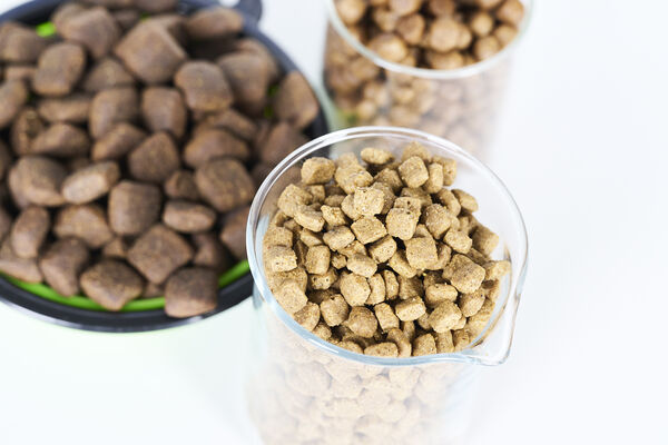 Glass beaker and bowl filled with brown extruded animal-feed pellets on a white surface