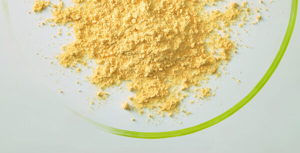 Close-up of yellow egg powder in a glass dish with a green rim