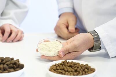 Hand in a white lab coat holding a dish of white protein powder beside bowls of feed pellets