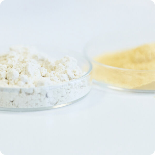 Glass dishes holding white powder and pale yellow protein powder side by side on white