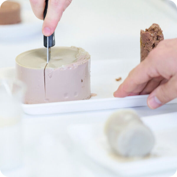 Hands cutting a beige pet-food pate cylinder with a knife on a white tray in a lab