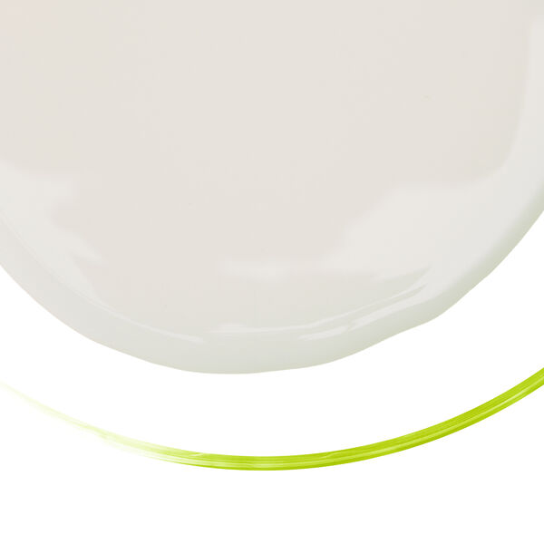 Smooth creamy white fat in a glass dish with a green rim