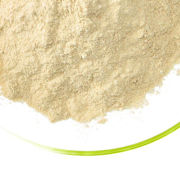 Promyc SP112 beige mycoprotein powder in a glass dish