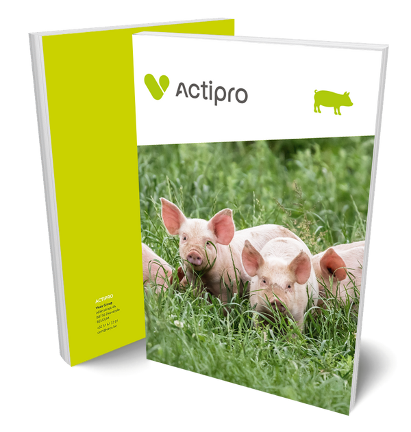 Actipro swine abstract brochure with piglets in grass on the cover