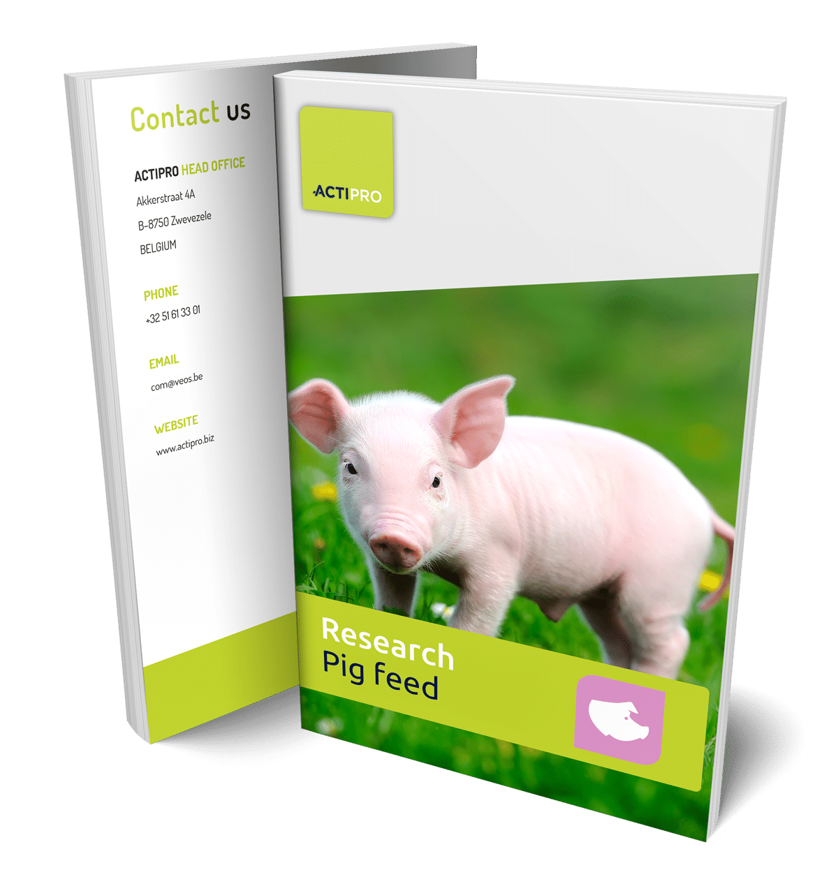 Cover Research Pig Feed
