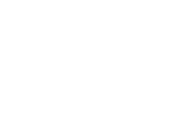Icon Fish & Shrimp Feed white