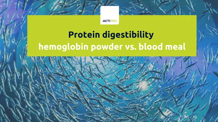 Protein digestibility Hemoglobin powder vs blood meal