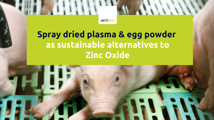 Spray dried plasma & egg powder as sustainable alternatives to zinc Oxide