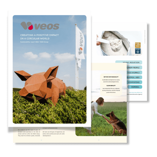 VEOS Sustainability report 2022