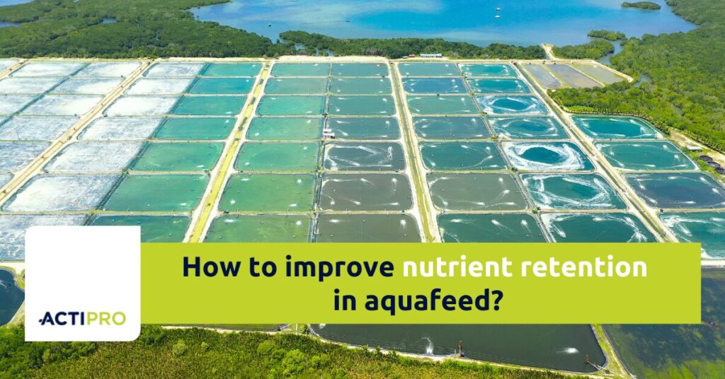 Improve nutrient retention in aquafeed with egg powder